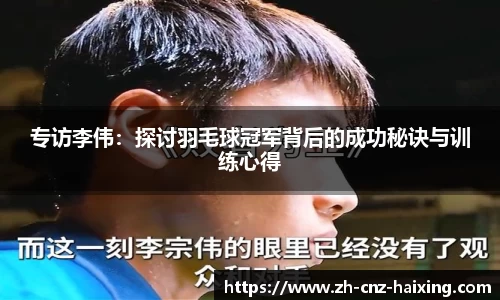 海星体育直播官方网站